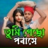 Jiyarul khan, Nuresa Khatun