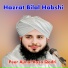 Peer Ajmal Raza Qadri