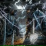Neon Lamp, курсфэйк