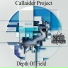 Callaider Project