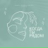 Рома Идиятуллин, Силер