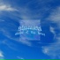Shuaneri