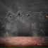阿赖