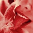 Vana, Glitchedout