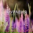 Сергей Ущиповский