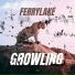 Ferrylake