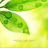 Harmony