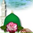 Qari Rizwan Ullah