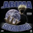 .arima