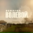 DEMAFRA