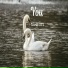World-SYL