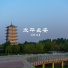苏九