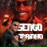 Barca na Batida feat. mc dany