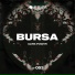 Bursa