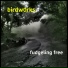 birdw0rks