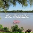 Dueños del Silencio