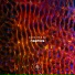 Nephos (UK)