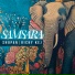 Shopan, Ricky Kej