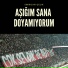 Emircan Çelik