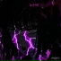 cxldwave
