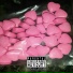 cashlover