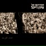 The Idan Raichel Project