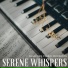 Relaxing Piano Moments