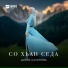 Диана Саламова