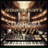 Robin Hirte