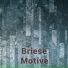 Briese