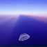 Die Fly Die