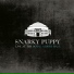 Snarky Puppy
