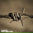 Lamanif