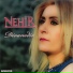 Nehir