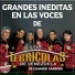 Los Terrícolas de Venezuela