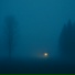 Norveil