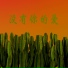 宝宏浚
