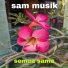 SAM MUSIK