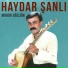 Haydar Şanlı