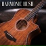 Guitar Music
