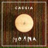 Cassia