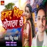 Pintu Pyare