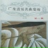 珠影乐团
