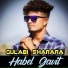 Habel Gavit