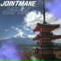 JOINTMANE