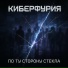 Киберфурия