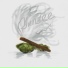 YUNGEE