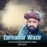 Zarnamir Wazir