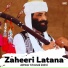 Akhtar Chanal Zahri