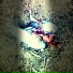 GAME FREAK & Go Ichinose